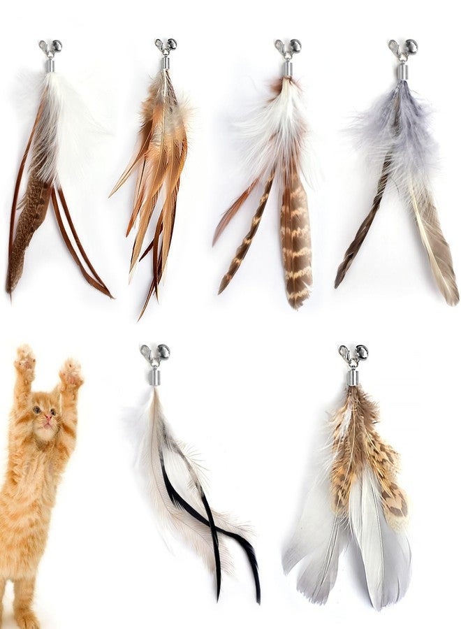 CAPHONT Cat Feather Toys Refills Cat Wand Replacement Feathers 6 PCS Handmade Cat Toy Feather Refills for Cat Wand Attachments Interactive Feather Cat Toy for Indoor Cats - Image 1